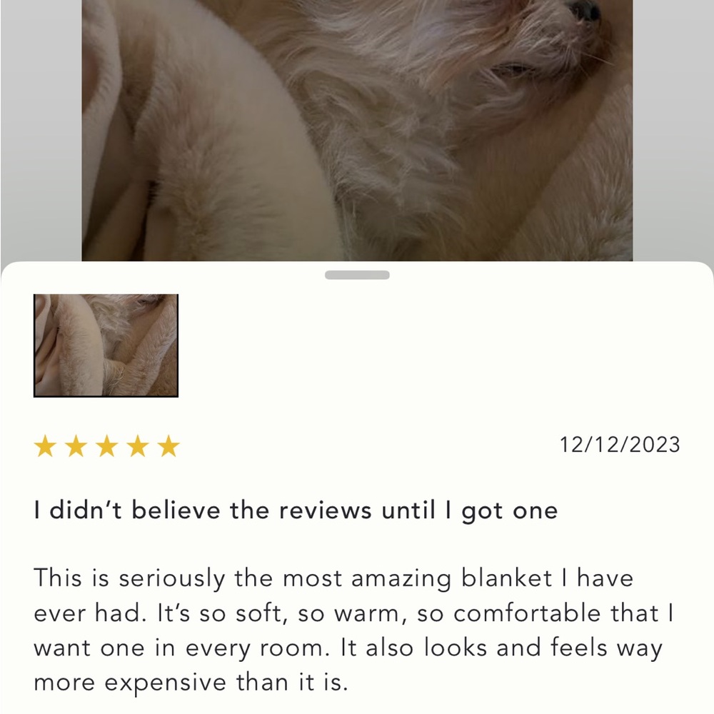 LAST ONE ☝️ Sophie Faux Fur Blanket - Picture 5 of 8